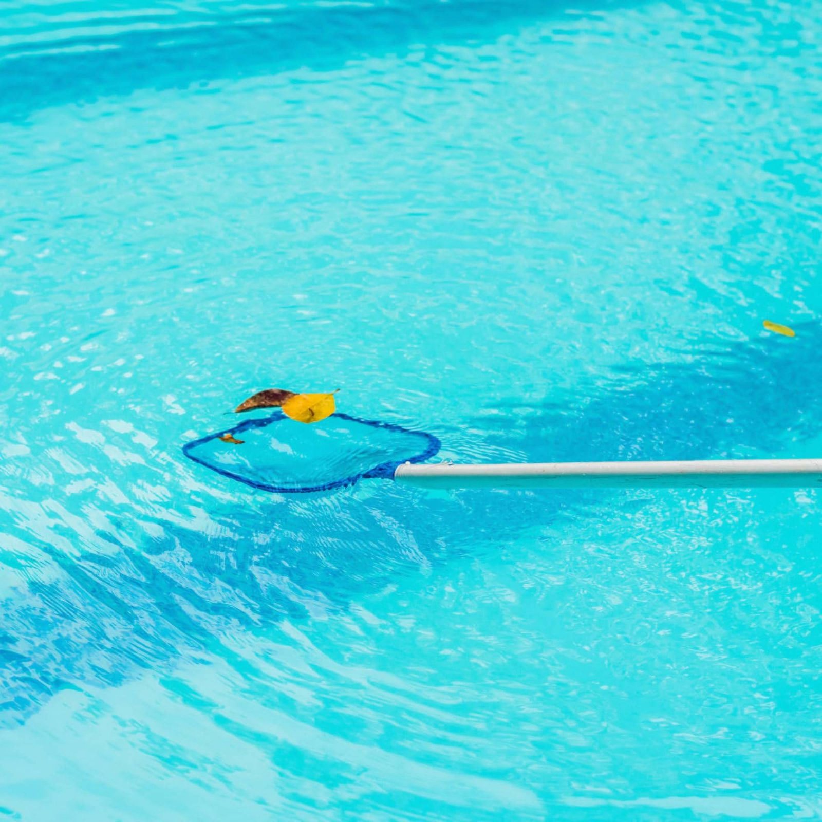 取り外し可能なプール葉っぱネット ポール付きで使いやすいプー - Pool Skimmer Net のレビューと価格